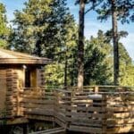 Summer 2022 : "les cabanes dans les bois"