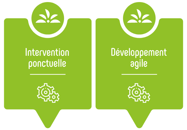 Intervention ponctuelle et développement agile